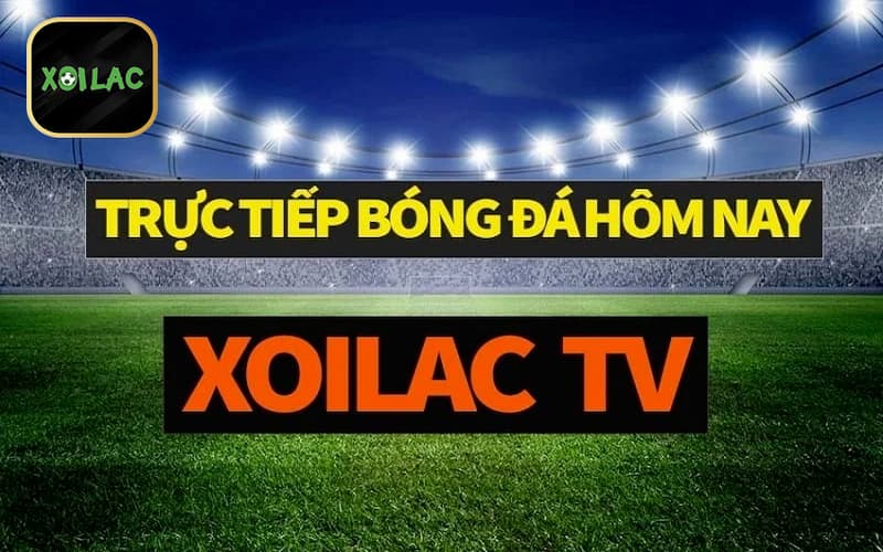 Những điều cần lưu ý khi liên hệ xoilactv