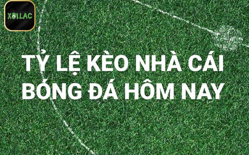 tỷ lệ kèo số chính xác được ưa chuộng hiện nay